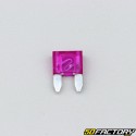 Mini purple flat fuse 3A