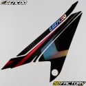 Decoration  kit Beta RR 50 (from 2021) Gencod black and red holographic