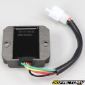 Voltage Regulator Kymco Super 8 50, Agility 125 and 150 16 inches, Malaguti Ciak 125 2 and 3...V1