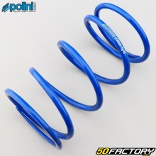 Clutch push spring Yamaha Majesty, Benelli Velvet, MBK... Polini 40 Kg