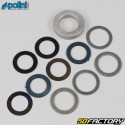 Unità MBK Nitro,  Yamaha Aerox,  Aprilia Area... 50 Polini Ciao velocità Evolution  2