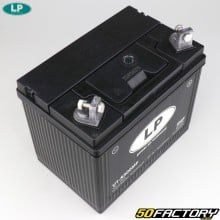 Batterie Landport 12V 24Ah U1-R300MF SMF
