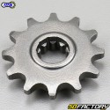 12 teeth 420 sprocket GAS GAS,  Gilera, Roxon Afam