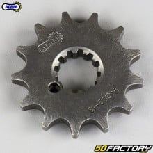 Sprocket 13 teeth 428 Beta Evo 80 Senior, KTM SX 85 ... Afam