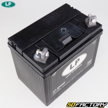Batterie Landport 12V 22Ah U1-250MF SMF