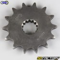 Pignone 14 Denti 520 Beta ALP 200, Kawasaki KLX 400 ... Afam