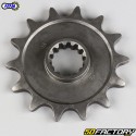 Pignone 14 Denti 520 Beta ALP 200, Kawasaki KLX 400 ... Afam