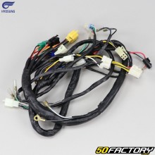 Hyosung wiring harness RX 125 V1