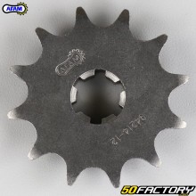 13 tooth sprocket 520 TM EN 250, 300 FI, MX 250 FI Afam