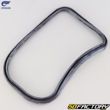 Hyosung taillight seal Aquila GV 125