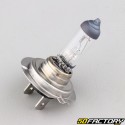 H7 12V 55W headlight bulbs (10V set)