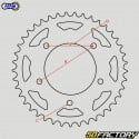 Corona in acciaio 53 denti 428 Honda XLR 125 (1982 - 1987) Afam grigia