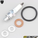 Wartungskit Peugeot Citystar,  Speedfight 4 125