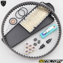 Kit de mantenimiento Peugeot Tweet 50 4 4