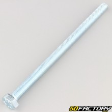 10x160 mm screws hexagon head class 8.8 (per unit)