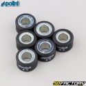 Variator rollers 12g 20x12 mm Yamaha Xmax,  Majesty 125 ... Polini