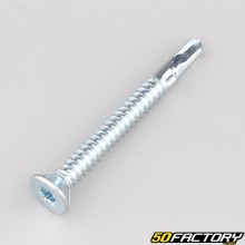 Tornillo de mariposa autotaladrante cabeza torx avellanada de 6.3x60 mm (por unidad)