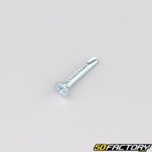 Parafuso autoperfurante 3.9x22 mm cabeça rebaixada Phillips (por unidade)