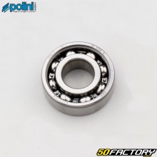 Gearbox and motor bearing 6202 C4 Polini