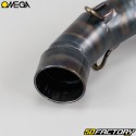 Exhaust MBK 51, Motobecane Omega G2 silencer gray