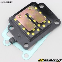 Caja de válvulas Minarelli vertical MBK Booster,  Yamaha Bw de ... Easyboost carbone