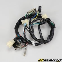 Dashboard wiring  Kymco Agility 125 V2