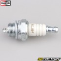 Spark plug Champion CCH863-RCJ8Y (equivalence BPMR6A)