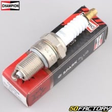 Spark plug Champion RN9YC (BPR6ES equivalence)