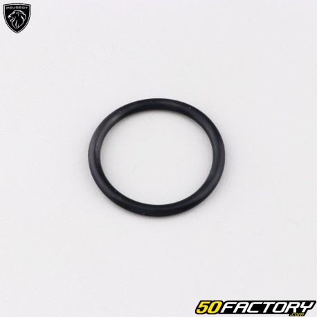 Drain strainer plug gasket Peugeot Tweet,  Vivacity 3 ...