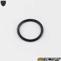 Drain plug gasket Peugeot Tweet,  Vivacity 3 ...