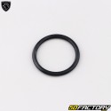Drain strainer plug gasket Peugeot Tweet,  Vivacity 3 ...