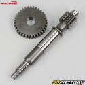 Primärwelle 13/35 Transmission Peugeot Trekker, Ludix, Speedfight 50 ... Malossi HTQ