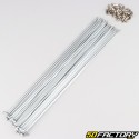 Ray2.3x256 mm stainless steel wheel ons with moped nuts, Solex 24&quot; rim (32 spokes)