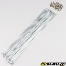 RayCerchi in acciaio inox da 2.3x256 mm con dadi per ciclomotore, cerchio Solex 24&quot; (32 raggi)