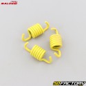 MBK clutch springs Evolis,  Sym GTS,  Yamaha Xmax 250 ... Malossi MHR