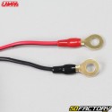 Akku-Ladegerät Lampa Amperomatic Pro