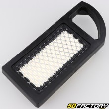 Luftfilter Briggs-Stratton 21B900, AVS... (10 bis 13.5 PS)