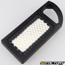 Filtro de aire Briggs-Stratton 21B900, AVS... (de 10 a 13.5 CV)