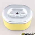 Filtro de Ar Honda GX 140, 160, 200 (3.5, 5.5 CV)