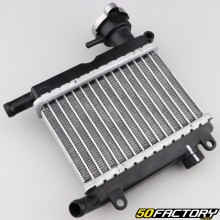 Radiator (with cap) Yamaha Aerox, Neo&#39;s, Nitro 50 ...