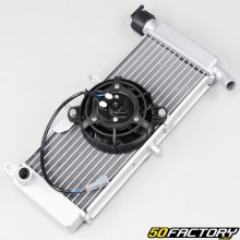 Radiator with fan Aprilia RS Derbi GPR 50, 125 ...