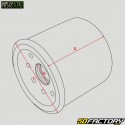 Oil filter HF303 HifloFiltro Access, Bimota, Honda ...