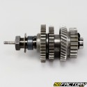 Gearbox output shaft Yamaha Chappy LB50 (1973 - 1996) V1