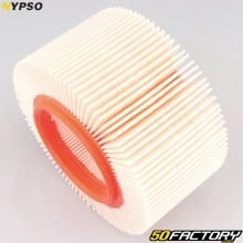 Filtro de aire BMW R 850, 1100, 1150... Nypso