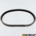 Correa Benelli Adiva, Aprilia Atlantic, Derbi GP1 125... 22.5x814 mm