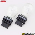 Lâmpadas P27W 12V 27W W2.5x16D Lampa (lote de 2)