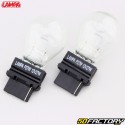 27W 12V 27W W2.5x16D light bulbs Lampa (batch of 2)