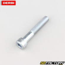 Fork dip tube screw Derbi Senda DRD Xtreme, GPR,  SMT,  RCR...