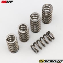 Clutch springs Derbi MVT  S-Race