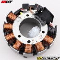 Zündstator
 MVT Millenium EXX111, EXX115 Derbi Euro 2,  Euro 3